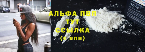 не бодяженный Бородино