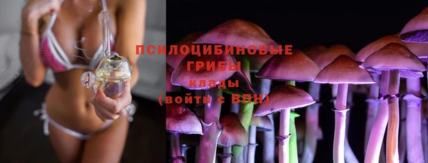 стаф Бронницы