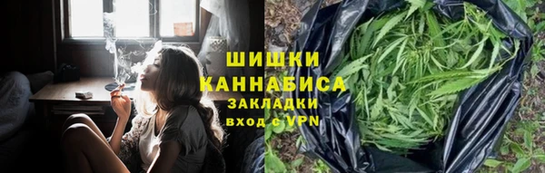 стаф Бронницы